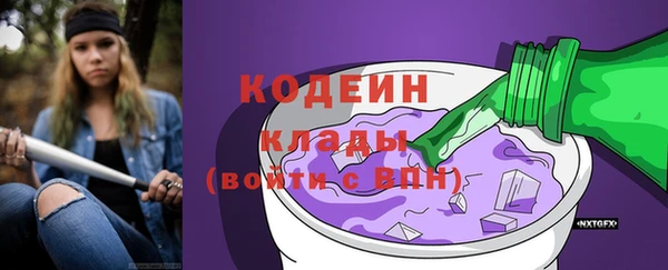 дживик Богородск