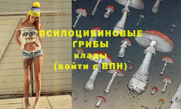 МДПВ Беломорск