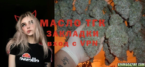 дживик Богородск