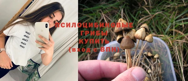 бутират Богородицк
