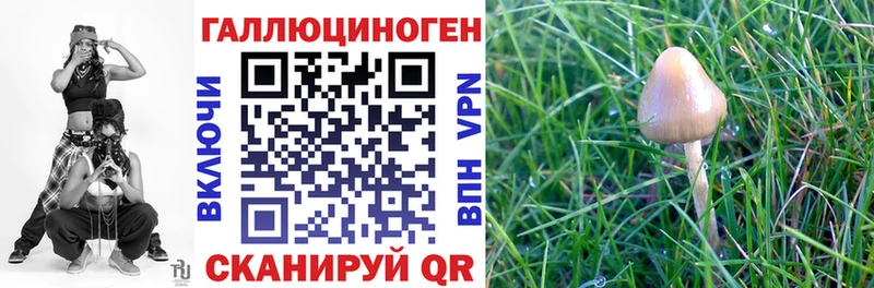 ссылка на мегу ссылки  Боготол  Псилоцибиновые грибы Psilocybine cubensis  цена наркотик 